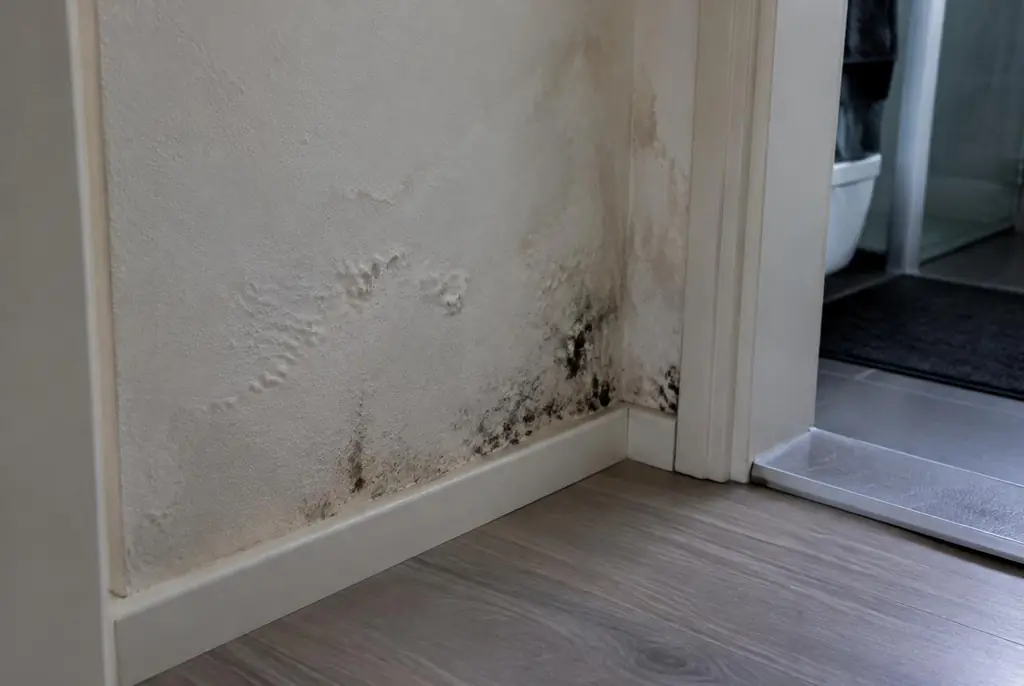 Lekdetectie Nunspeet – vochtplek met schimmel op een muur